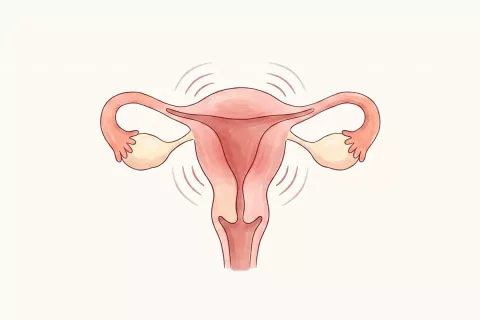 schéma Dysménorrhées